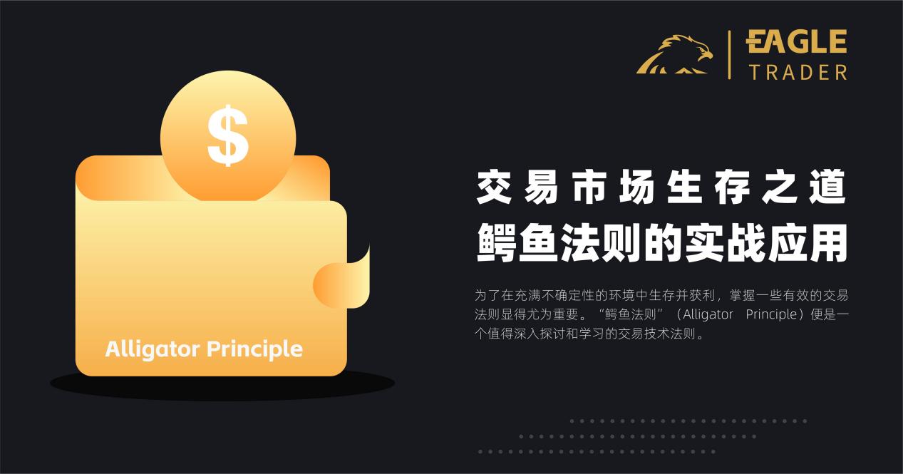 �ֻ�������������